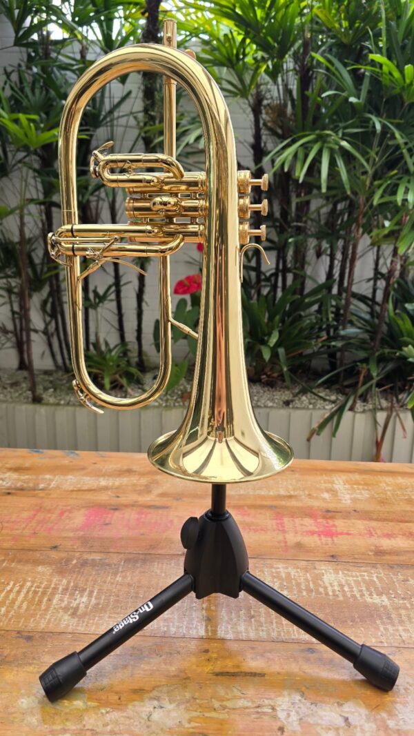 Flugelhorn Kings Brasil Laqueado Sib (Semi-novo) - Image 2