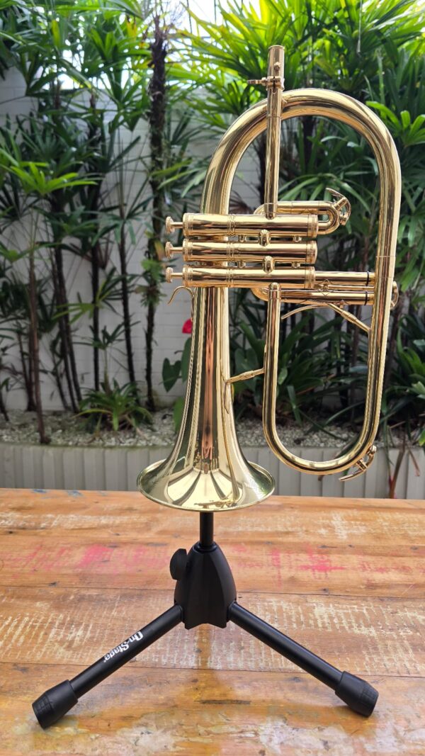 Flugelhorn Kings Brasil Laqueado Sib (Semi-novo) - Image 3