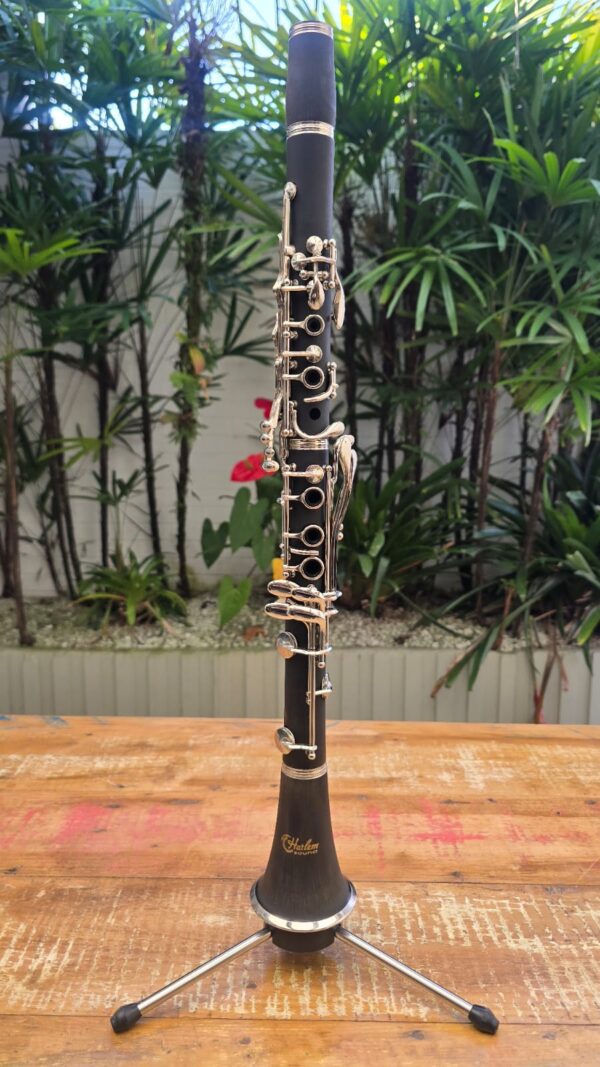 Clarinete Harlem Sound Resinado Sib (Novo) - Image 2