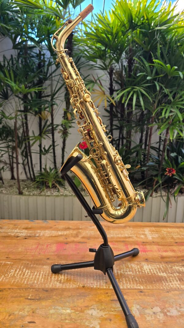 Sax Alto Michael Laqueado Mib (Usado) - Image 3