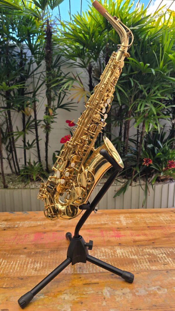Sax Alto Michael Laqueado Mib (Usado) - Image 2