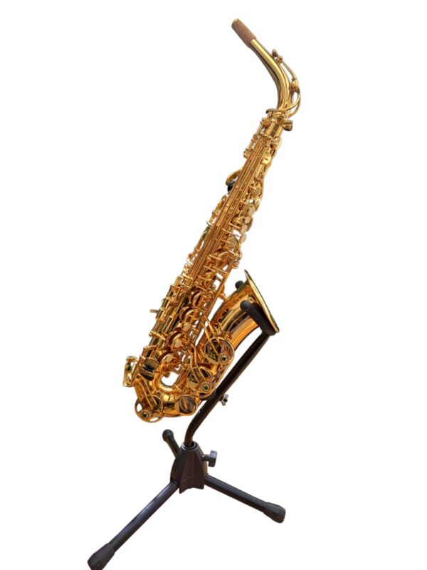 Sax Alto Dominante Laqueado Mib (Novo)
