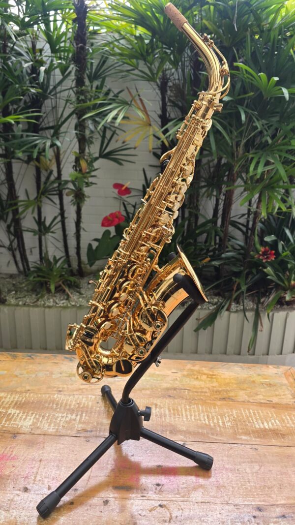 Sax Alto Dominante Laqueado Mib (Novo) - Image 2
