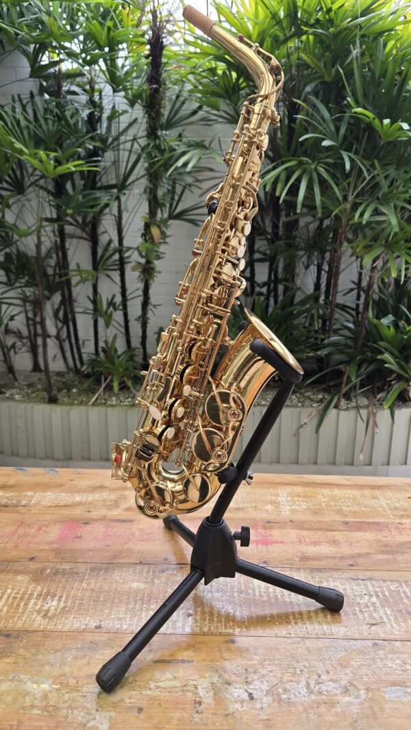 Sax Alto Dolphin Laqueado Mib (Usado) - Image 2