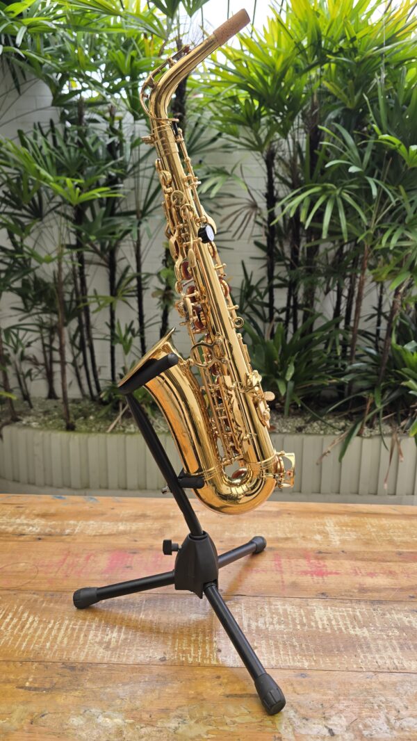 Sax Alto Dolphin Laqueado Mib (Usado) - Image 3