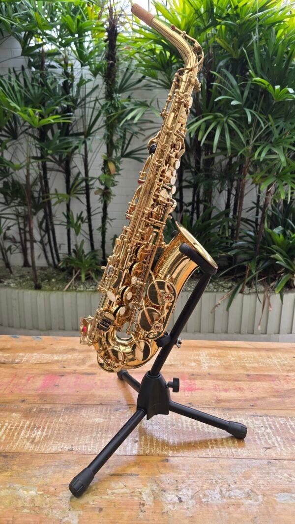 Sax Alto Dolphin Laqueado Mib (Usado) Estudante - Imagem 2