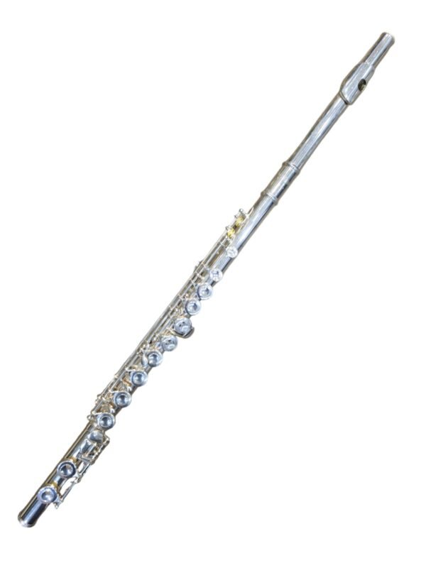 Flauta Transversal Selmer Usa Prateado - Dó (Usada)
