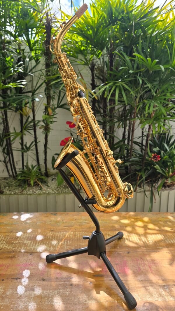 Sax Alto Dominante Laqueado Mib (Novo) Estudante - Imagem 3