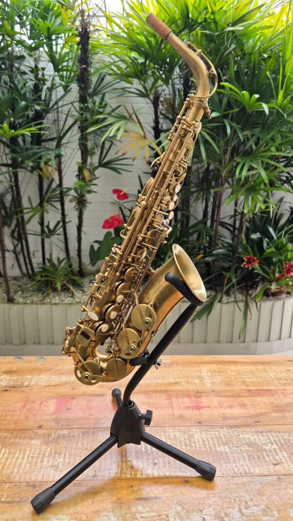 Sax Alto Eagle Desplacado Corpo e Chaves Mib (Usado) Estudante - Imagem 2