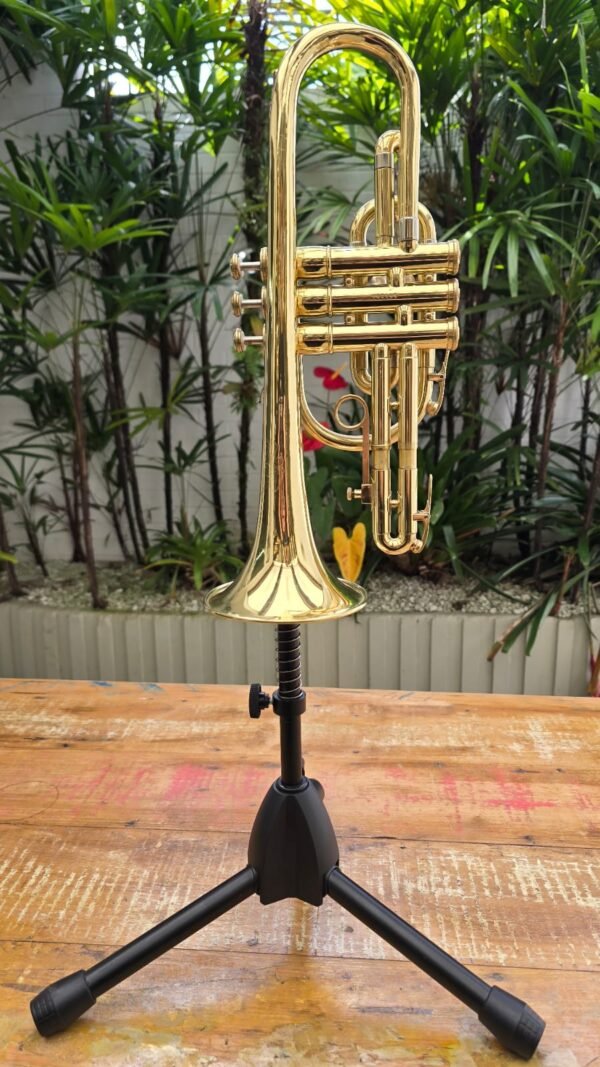 Cornet Olds Ambassador Laqueado Sib (Usado) - Imagem 3