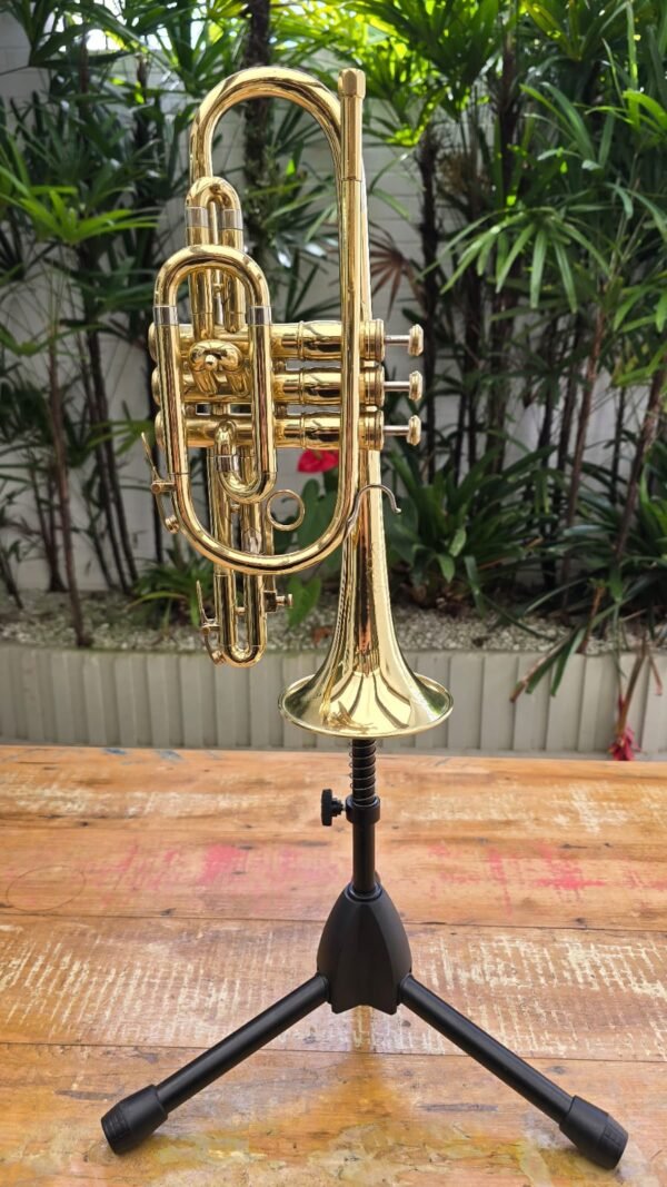 Cornet Olds Ambassador Laqueado Sib (Usado) - Imagem 2